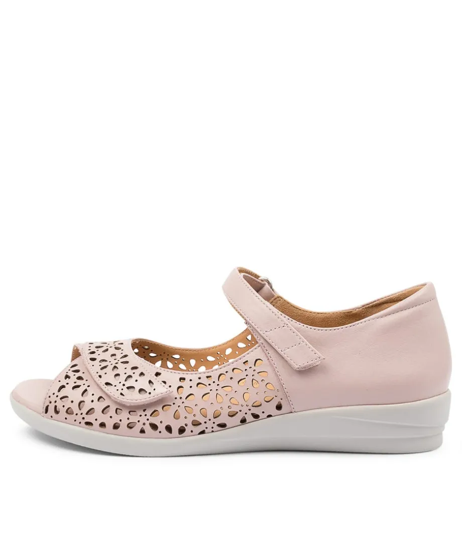 Daffodil W Seashell Lea<ZIERA Cheap