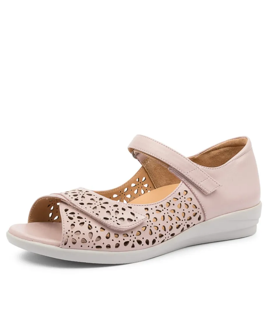 Daffodil W Seashell Lea<ZIERA Cheap