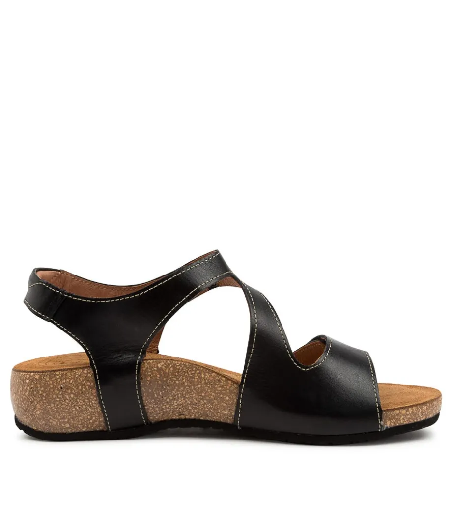 lovely_black_leather_3.webp Lovely Black Leather<TAOS Shop