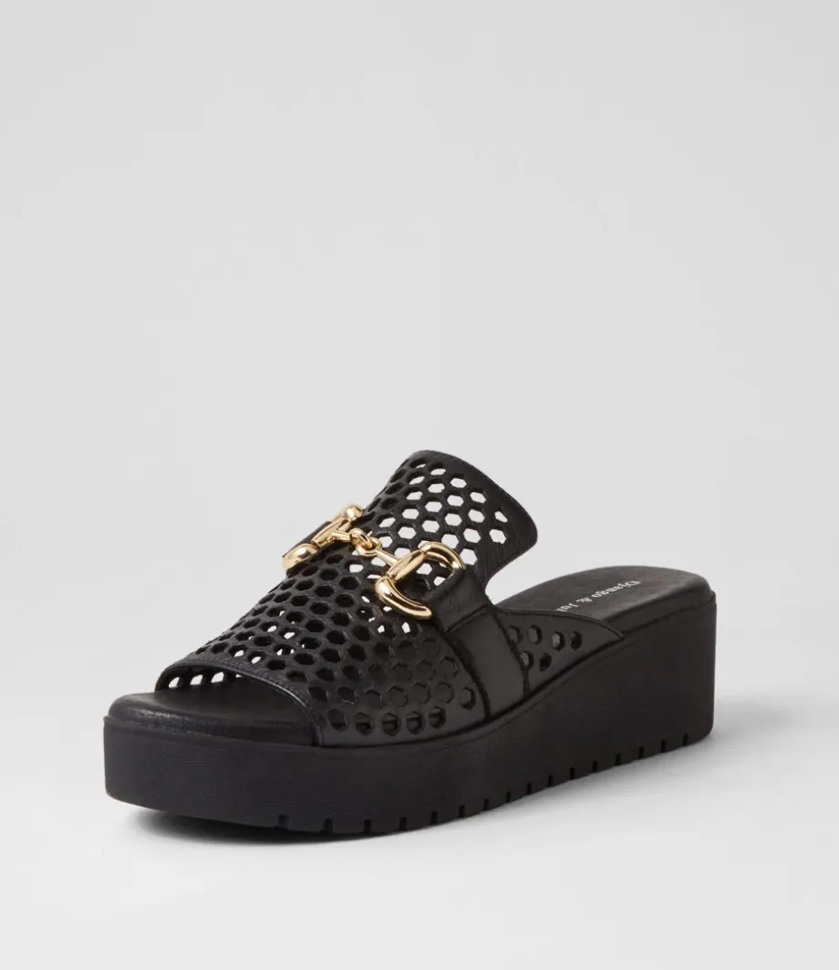 Osteno Black Leather Slides<DJANGO & JULIETTE Store